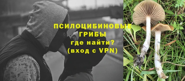 бошки Новозыбков