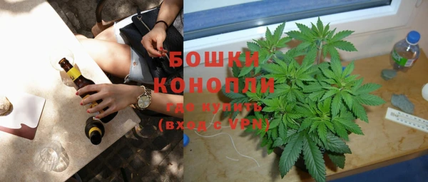 бошки Новозыбков