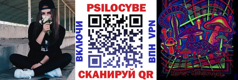 Галлюциногенные грибы Psilocybe  ссылка на мегу сайт  нарко площадка телеграм  Старица 
